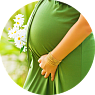 Живая спирулина "Альга" беременным и кормящим мамам