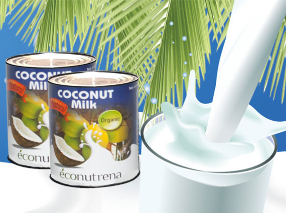 Органическое кокосовое молоко Econutrena 17%, 200мл